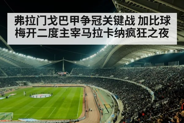 弗拉门戈巴甲争冠关键战 加比球梅开二度主宰马拉卡纳疯狂之夜
